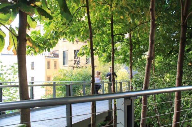 Joggers on the High Line