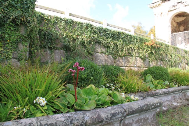 Lichen covered walls with old-fashioned planting which you could almost believe had been there for hundreds of years