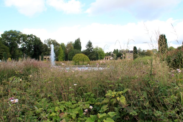 Many of the plants are in clear senescence and yet the composition feels beautifully aged, rather than untidily left