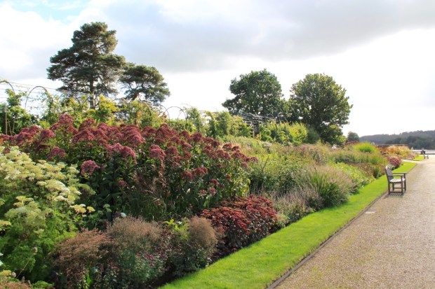 Piet Oudolf-designed border in front of Trellis Walk and the David Austin Rose Border at Trentham