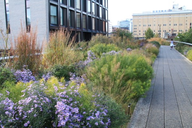 Piet Oudolf's High Line planting is a classic example of enhanced nature