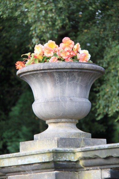 Salmon pink Begonia. I should hate them but I can't think of a better plant for these pots