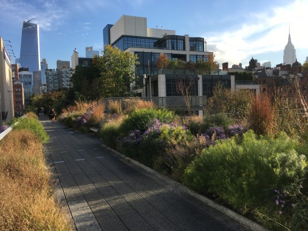 Stunning planting (and the Empire State Building) on the High Line