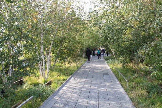 The High Line, New York