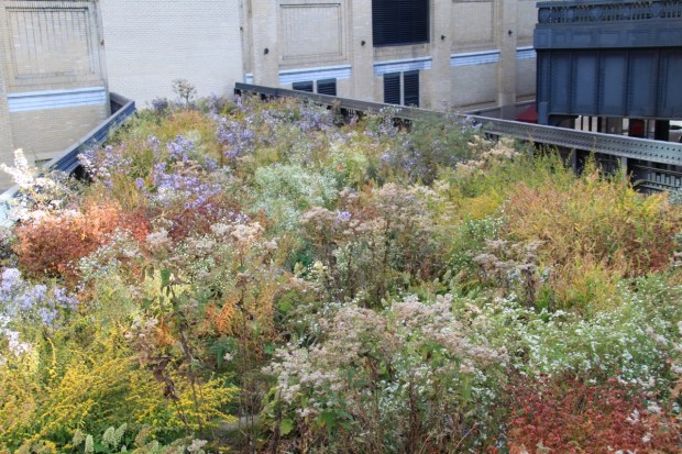 The Northern Spur Reserve is an example of a sponsored area on the High Line. Thank you Christy and John Mack, whoever you are!