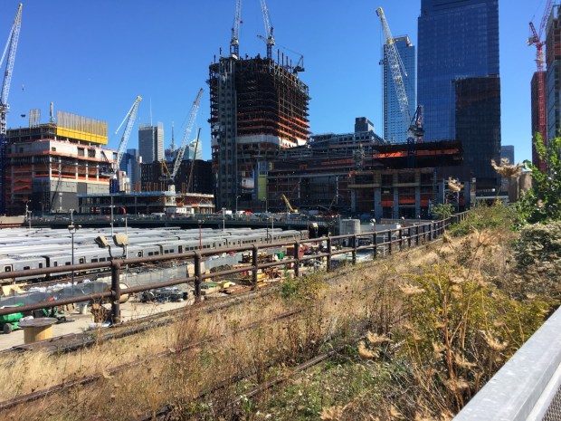 The Rail Yards section of the High Line, part of which has been left untouched to show the tracks in their natural, self-seeded state. And just look at the scale of development in the area.