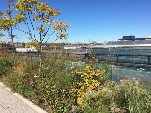 The Rail Yards, The High Line