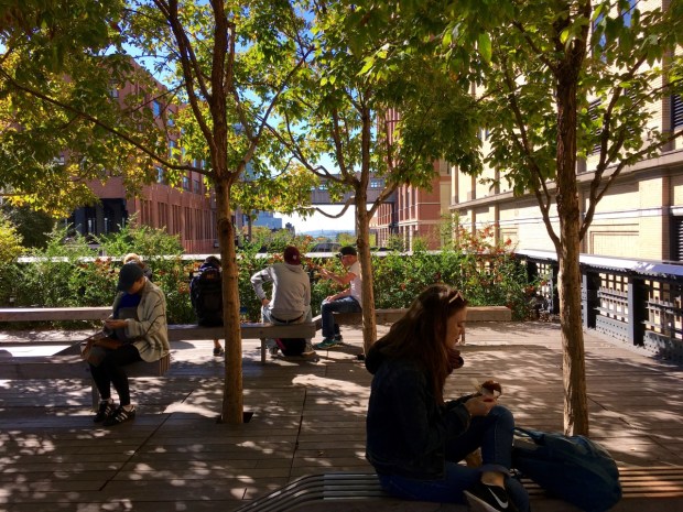 The soft orangey bark picks up the berries beyond and with the Statue of Liberty beyond, makes for quite some seating area on the High Line