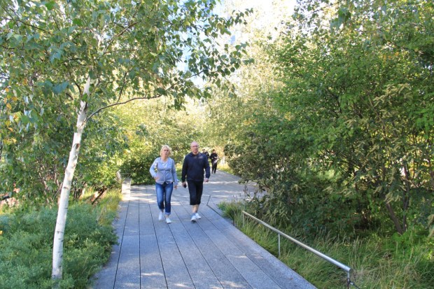 The trees are supported in just 45cm of soil depth on the High Line