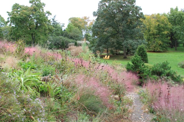 Adirondack chairs provide a sense of America. Some were painted with giraffe patterns, which made me smile