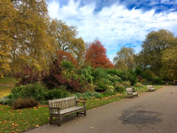 Autumn colours in St James's Park