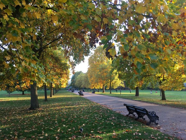Autumn in Hyde Park