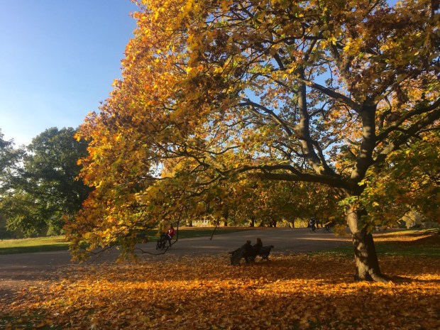 Autumn in Hyde Park