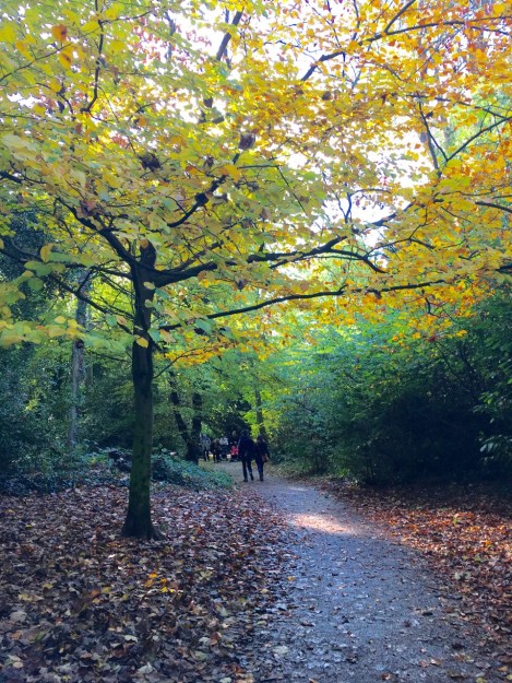 Buttery leaves at Chiswick House and Gardens