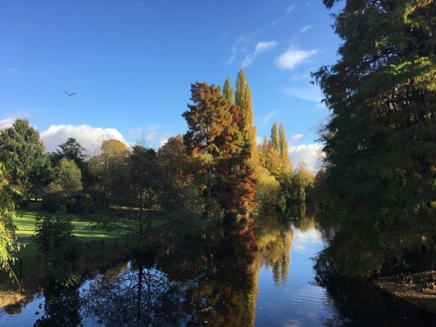 Calmness at Chiswick House and Gardens