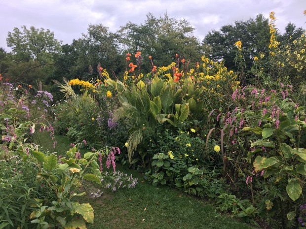 The Cut Flower Garden looks so alive, even this late in the season, you half expect the plants to walk off