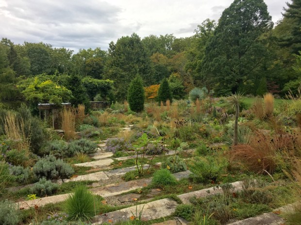 The Gravel Garden boosts structural planting throughout the year