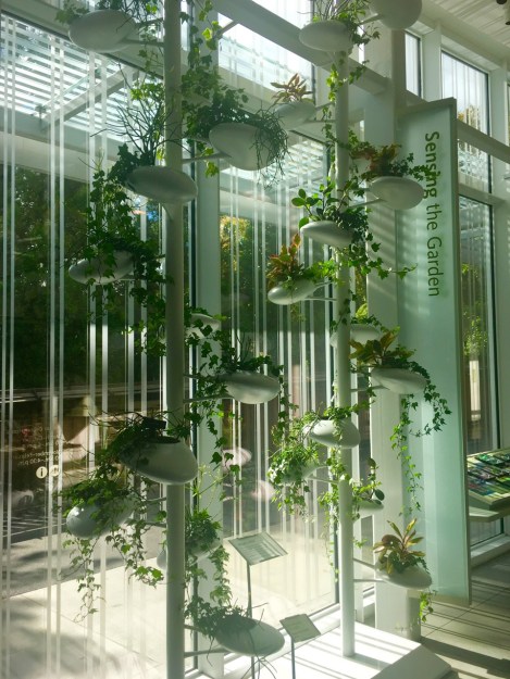 The new entrance to the Brooklyn Botanic Garden, New York