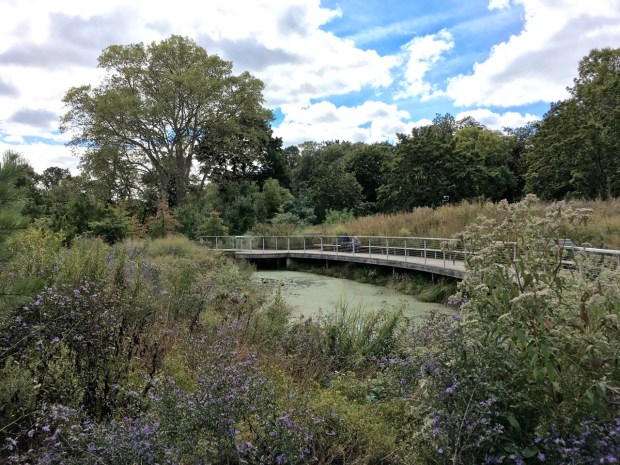The pond and walkway at the Native Flora Garden has been beautifully designed