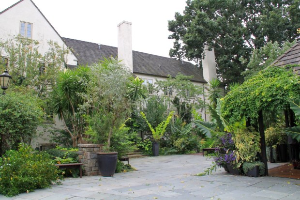 There are so many surprising plants a Chanticleer; I had to keep reminding myself that I wasn't in the subtropics!