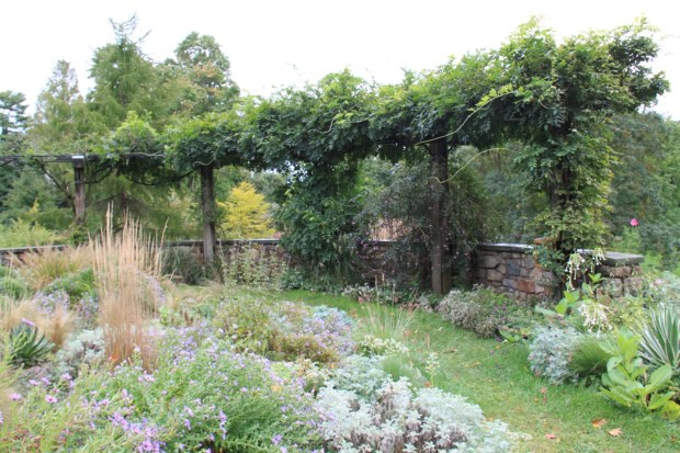 This pergola framed wonder views of the garden below