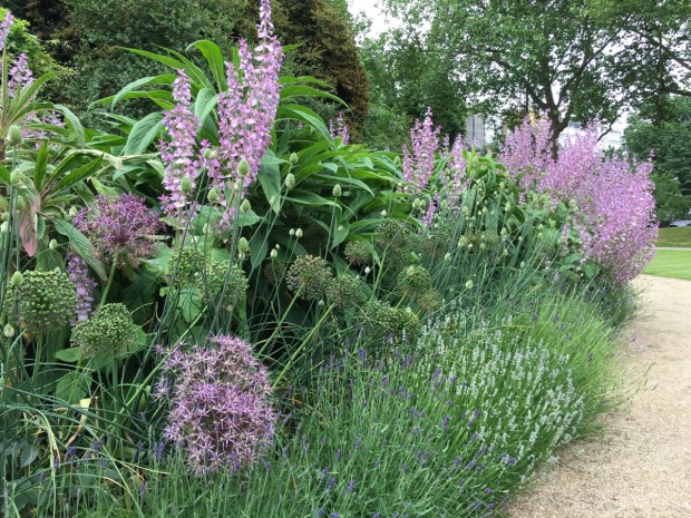 Gorgeous colours, textures and forms at Cadogan Gardens North