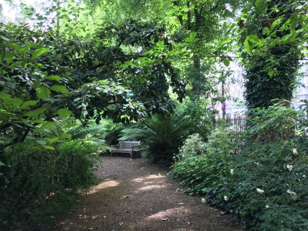 Informal, shady pathways contrast with the more open areas of Courtfield Gardens West