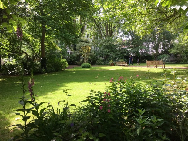 Once inside the square areas open up to feel expansive, yet enclosed