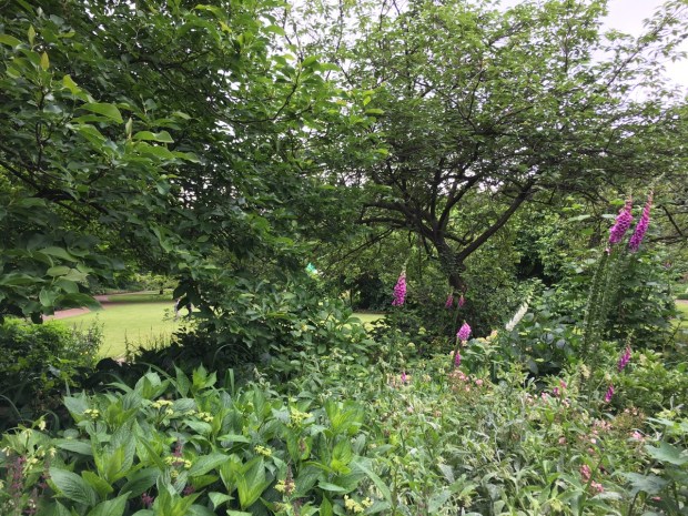 Peep holes thought the planting at Cadogan Gardens South