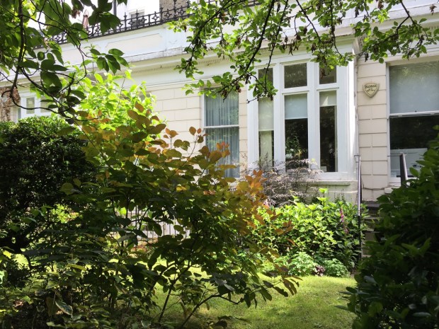 Planting reach right up to the buildings, softening the vertical built elements at Courtfield Gardens West