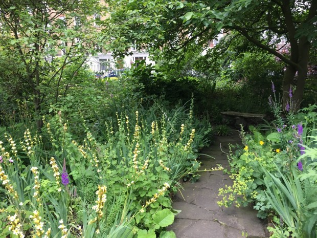 Soft planting spills over the pathway at Cadogan Gardens South