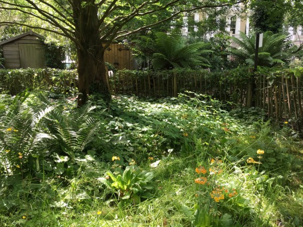 Such a perfect blend of natural but cared for in the enclosed wildlife garden at Courtfield Gardens West