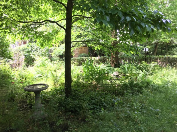 The more you look, the more you see. I particularly love the wooden doors on the shed in the distance