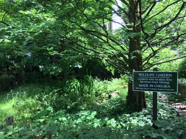 The Wildlife Garden at Courtfield Gardens West