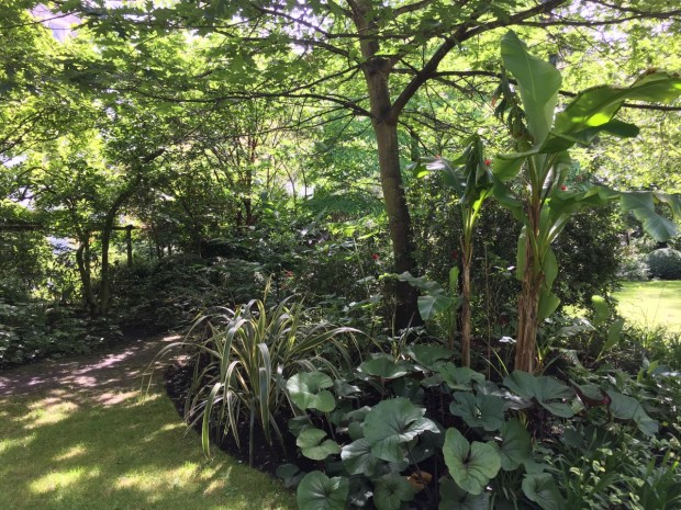 Whilst strong forms of plants were used, clever combinations ensure nothing overly dominated the rest