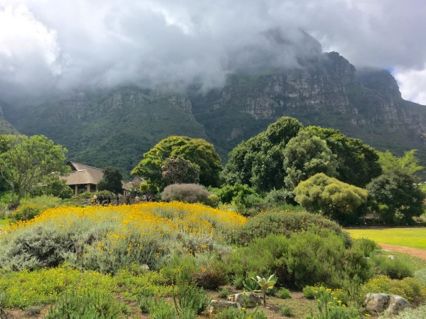 Kirstenbosch National Botanic Garden, Cape Town