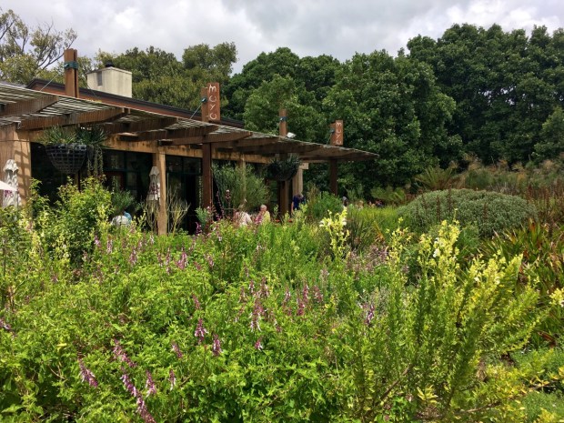 Kirstenbosch National Botanic Garden, Cape Town