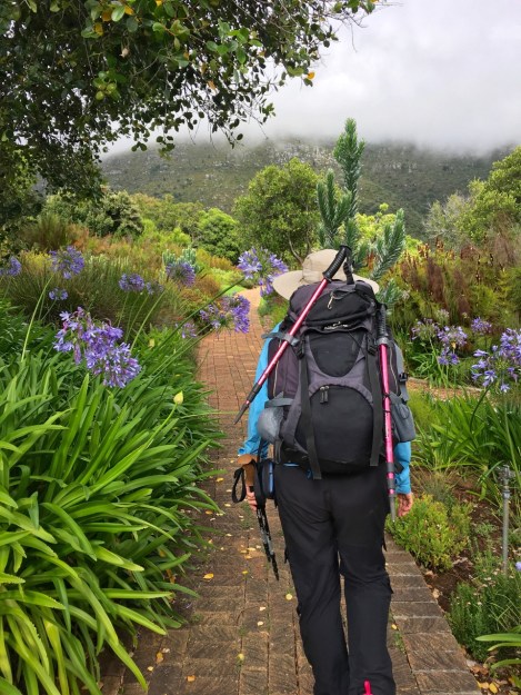 Setting off to climb Table Mountain