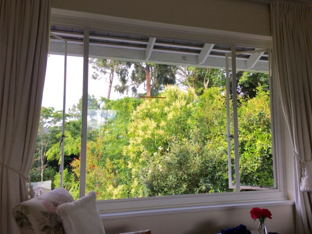 The view from our gorgeous room at Klein Bosheuwel Guest House