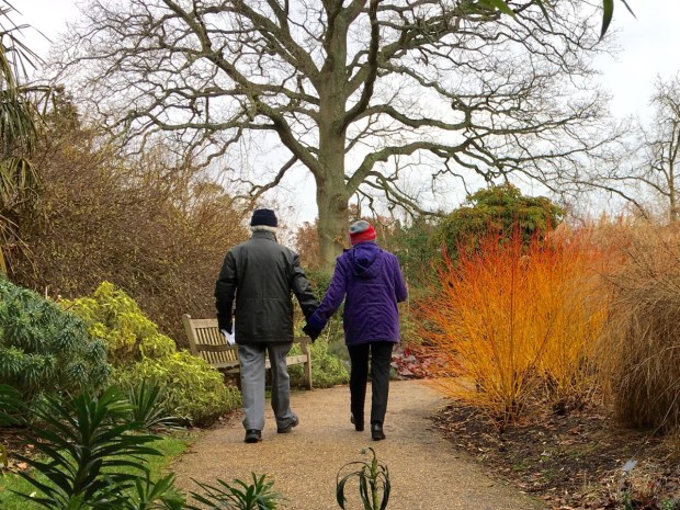 As long as you wrap up warm, the Winter Garden brightens your day even when it's grey outside