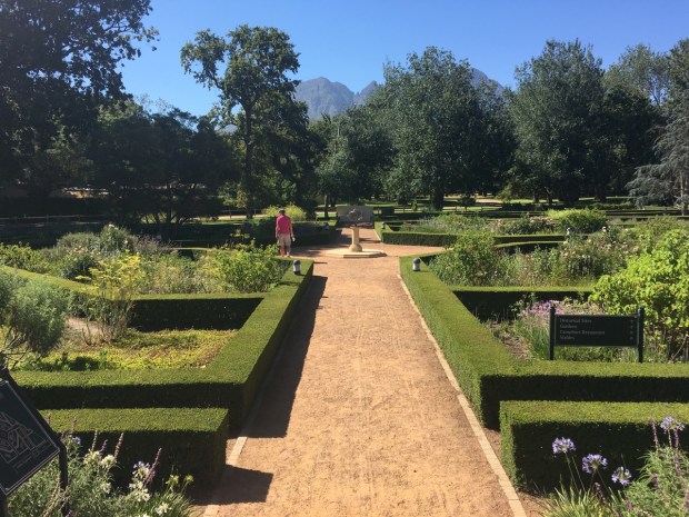 Formal lines at you enter the garden at Vergelegen