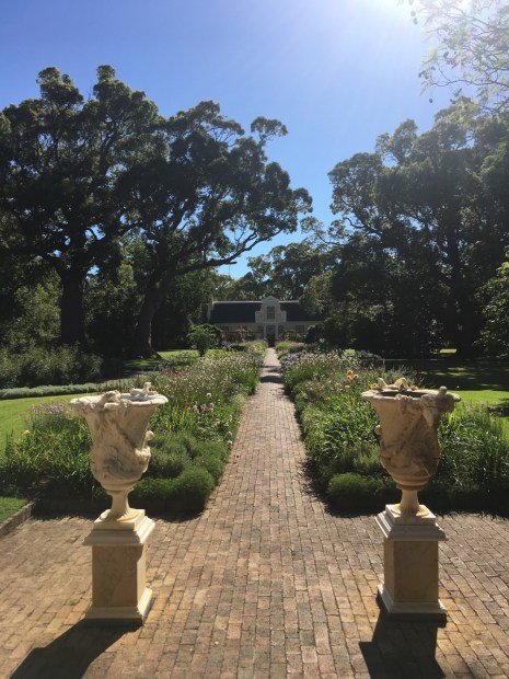 Long vistas provide strong structure at Vergelegen