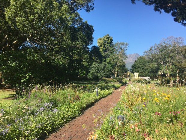 Pretty mixed borders at Vergelegen