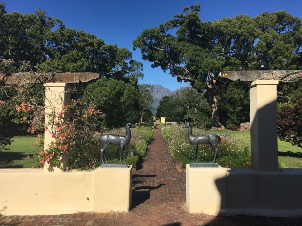 Those mountains, those trees...just stunning